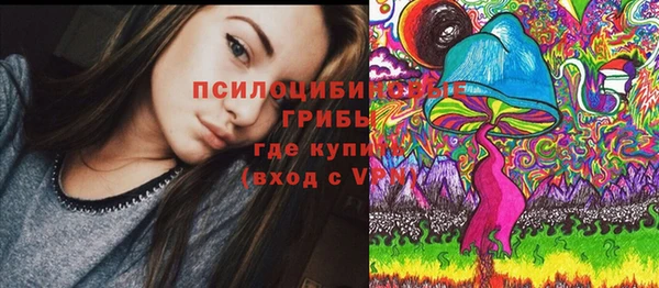 прущие грибы Армянск