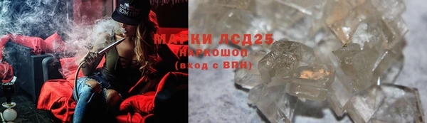 прущие грибы Армянск