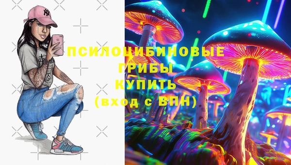 ПСИЛОЦИБИНОВЫЕ ГРИБЫ Арсеньев