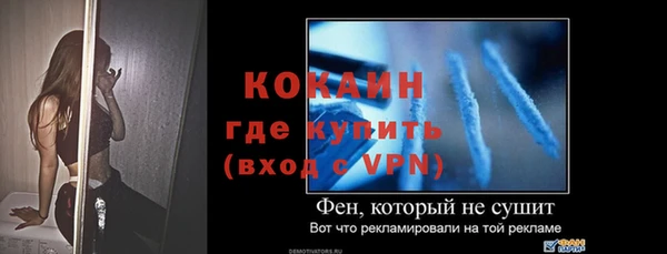 прущие грибы Армянск