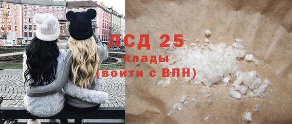 ПСИЛОЦИБИНОВЫЕ ГРИБЫ Арсеньев