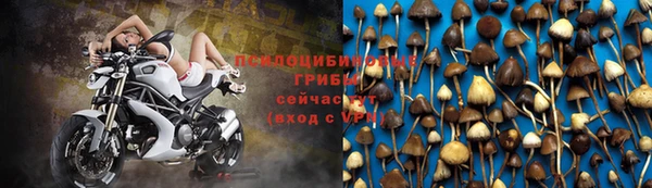 соль ск Аркадак