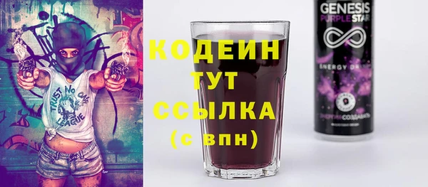 ПСИЛОЦИБИНОВЫЕ ГРИБЫ Арсеньев